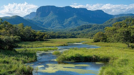 Lush Green Wetlands with Majestic Mountains Under Clear Blue Sky