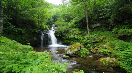 A hidden waterfall surrounded by vibrant green foliage in an untouched forest.