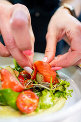 A chef's hands carefully arrange vibrant slices of salmon and fresh vegetables on a plate. The focus is on the meticulous art of plating in a professional kitchen setting.
