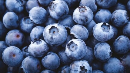 Fresh Blueberries Close-up, Farm Harvest, Summer Background, Food Texture