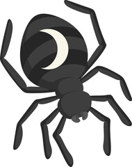 illustration spider