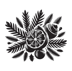 Evergreen fruit  Silhouettes vector illustration a white background.