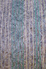 A piece of paper with green and yellow stripes on it