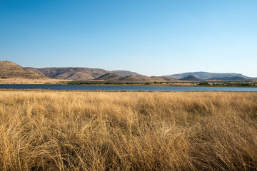 Obraz premium Parc national du Pilanesberg, Afrique du Sud