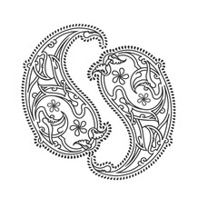 Persian paisley motif with floral elements