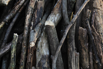 wood texture background