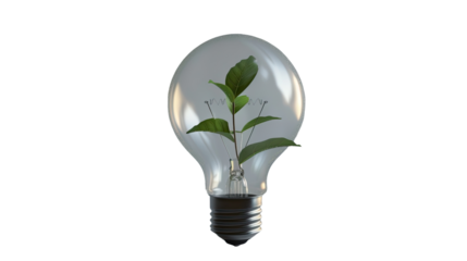 Sustainable Energy: A glowing lightbulb houses a vibrant green plant inside, symbolizing the growth and potential of sustainable energy sources.