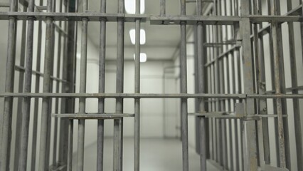 A confined space with metal bars and an entrance door