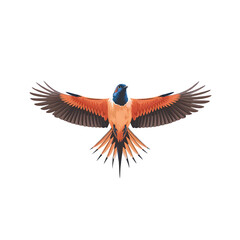 Obraz premium Bird with wings isolated on white background 