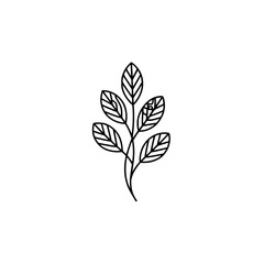 Minimalist Leaf Branch Line Art on White Background
