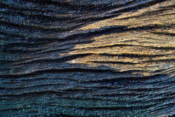 Textured Surface of Weathered Wood Showing Grain and Patterns