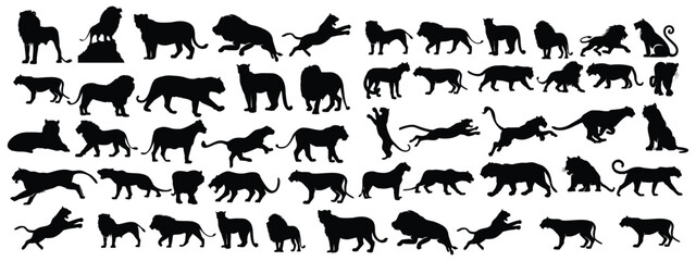 Silhouette lion set collection - vector illustration