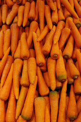 Orange colour carrots in bulk in a market in Indonesia