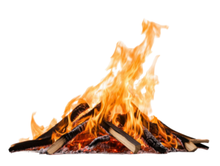 Vibrant flames dancing above a burning campfire at sunset on a transparent background, cut out