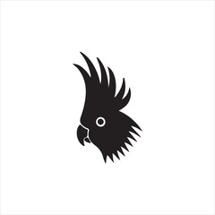 eagle head vector illustration