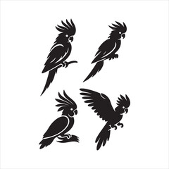 set of vector birds