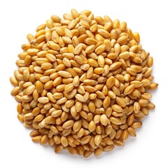 sesame seeds isolated on white