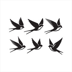 vector illustration of a bird