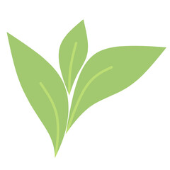 Green Leaf, Petal Shape