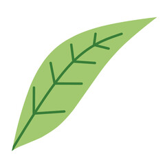 Green Leaf, Petal Shape