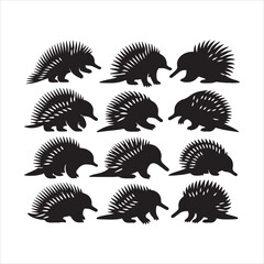 Porcupine animal vector