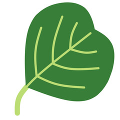 Green Leaf, Petal Shape