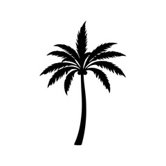 Naklejka premium palm tree silhouette