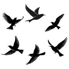 Obraz premium Flying Birds Silhouette Set - Black Vector Illustration on White Background