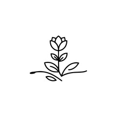Minimalist Line Art Flower Logo, Botanical Illustration on White