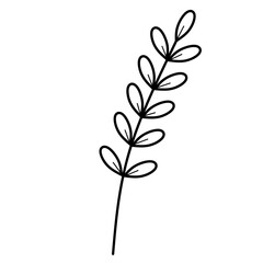 Leaf Doodle, Aesthetic Leaf