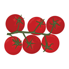 A vector illustration of a vibrant branch of ripe red tomatoes. Perfect for food, culinary,  and healthy eating-related designs. The  ideal for packaging, background designs, and infographics.
