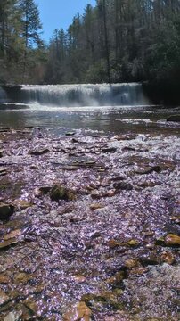 Hooker Falls, in Dupont State Forest near  Brevard North Carolina