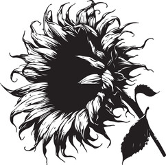 Faded sunflower petals vector