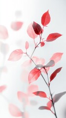 Delicate branches adorned with striking red leaves sway gently in warm sunlight, creating a peaceful ambiance. The ethereal quality of the light enhances the beauty of this autumn display