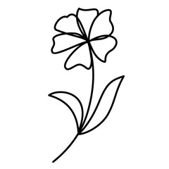 Flower Line Art, Aesthetic Flower