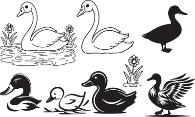 swans and ducks vector, black and white bird illustration, duck silhouette, swan line art, waterfowl clipart, duck logo design, swan tattoo design, elegant swan drawing, duckling outline, hand-drawn s