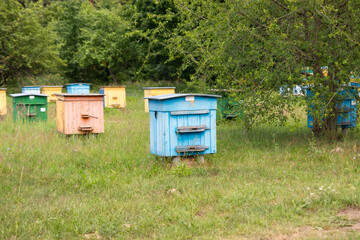 Colorful bee hives in the forest.Beekeeper's apiary