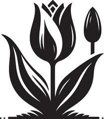 Tulip half open vector