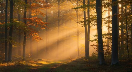 Obraz premium Golden Hour's Embrace AI Generated