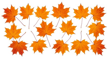 Amber Hues, Autumn's Embrace AI Generated