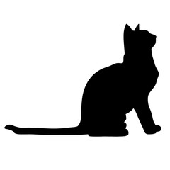 Silhouette of a cat in a standing pose against a simple white background