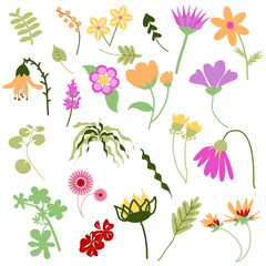 Set di fiori primaverili multicolore e foglie disegnato a mano libera, illustrazione per decorazioni, cartoline, pattern, Pasqua