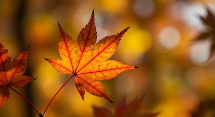 Amber Embrace of Autumn AI Generated