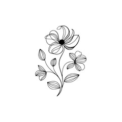 Elegant Line Art Floral Design: Botanical Illustration on White Background