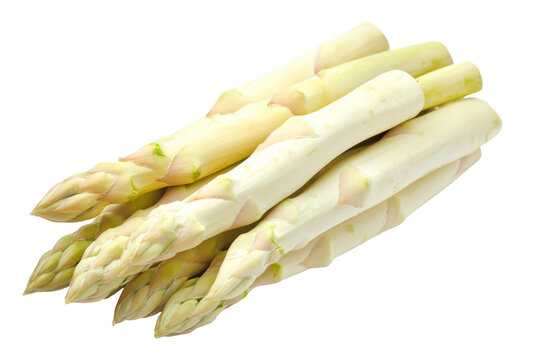 Fresh white asparagus spears isolated on transparent background for culinary use
