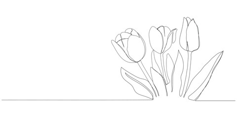 Continuous one line drawing of beautiful spring flowers vector design. Single line art illustration bouquet of tulips on transparent background