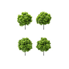 Fototapeta premium Four Lush Green Trees Isolated on - Perfect for Landscaping and Design Projects