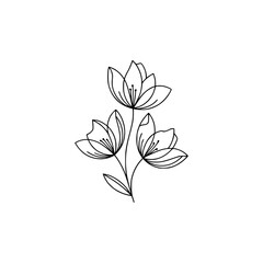 Minimalist Floral Line Drawing on White Background