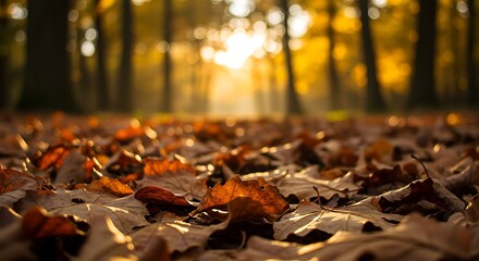 Golden Hour's Embrace AI Generated