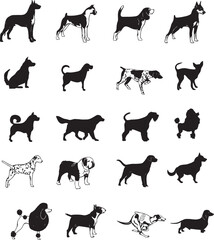 Different type of vector cartoon dogs for design.